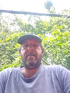palmview2 online show from 3, 6, 2026