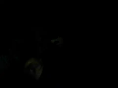 woxihuanzheli123 online show from 27, 4, 2026