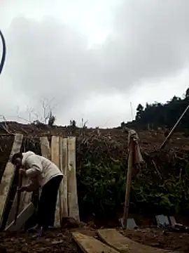 Asami 6868 online show from 10, 2, 2026