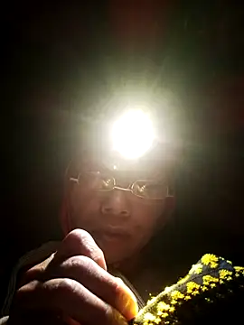 lala-bubu online show from 9, 1, 2026