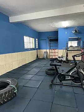 Betobob online show from 8, 3, 2026