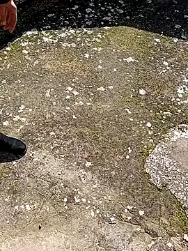 GanaderoMorboso online show from 15, 2, 2026