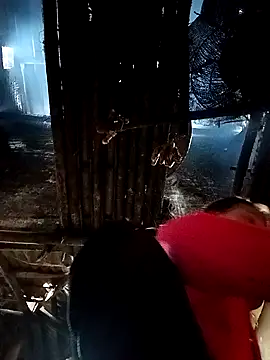 Sing2k online show from 9, 1, 2026