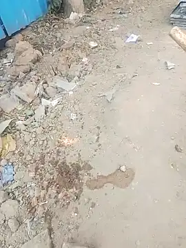 Gauri  Dhar online show from 17, 1, 2026