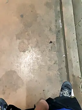 TAMI61 online show from 4, 2, 2026