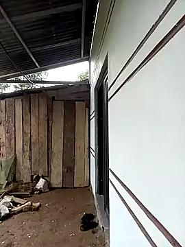 xiaogoal online show from 24, 3, 2026