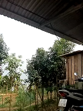 xiaogoal online show from 14, 4, 2026