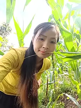 Snapshot of xiaogoal chatting on 5, 7, 2026 xiaogoal online show from 5, 7, 2026