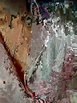 moon baby99 online show from 11, 3, 2026