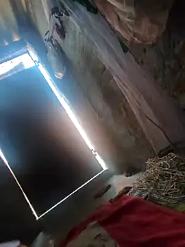 Pagelboy 089 online show from 5, 3, 2026