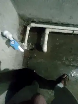 Pagelboy 089 online show from 19, 1, 2026