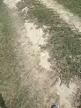 Pagelboy 089 online show from 27, 3, 2026