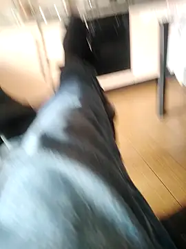 Snapshot of Sweet_Daddy_John chatting on 3, 3, 2026 Sweet Daddy John online show from 3, 3, 2026