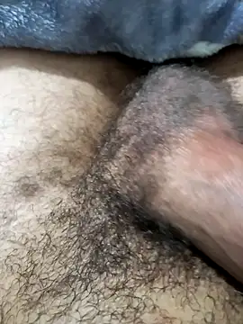 So1sh online show from 4, 3, 2026