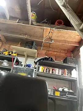 WIDBIGWHITECOCK online show from 28, 3, 2026