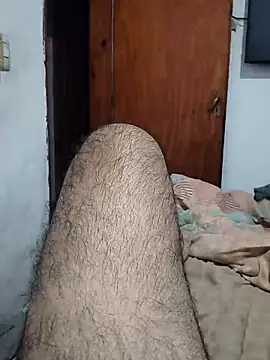 Pitypin7 online show from 13, 4, 2026