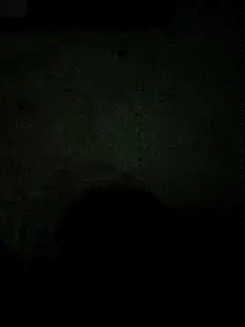 paladito01 online show from 23, 3, 2026