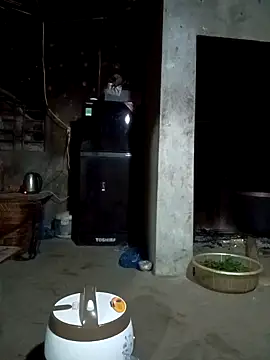 vanvan005 online show from 4, 3, 2026