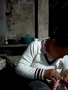 Snapshot of vanvan005 chatting on 11, 2, 2026 vanvan005 online show from 11, 2, 2026