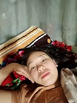 vanvan005 online show from 11, 3, 2026