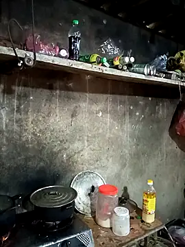 vanvan005 online show from 11, 3, 2026