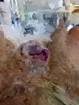 Rich Mo89H online show from 6, 4, 2026