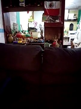 carlatransyjessi online show from 20, 2, 2026