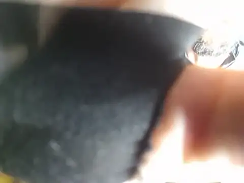 soniccheeseburger online show from 14, 1, 2026