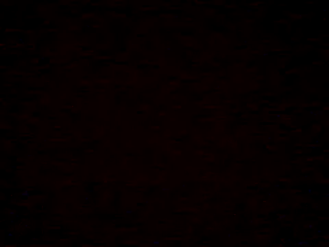  Daisy online show from 5, 4, 2026