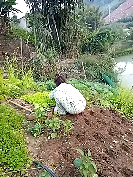 Happy sweet1 online show from 12, 1, 2026