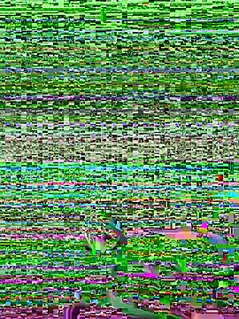 Snapshot of GaryWong02 chatting on 10, 1, 2026 GaryWong02 online show from 10, 1, 2026