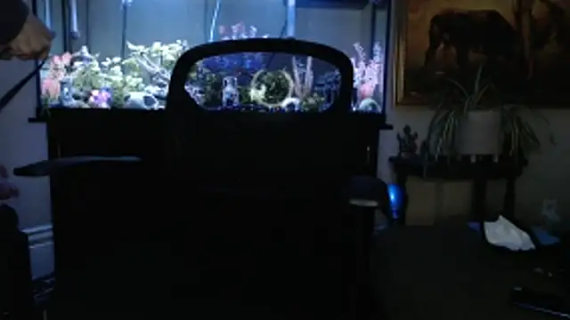 EspanolVato online show from 5, 3, 2026