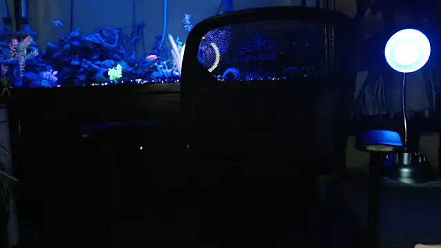 EspanolVato online show from 23, 3, 2026