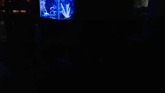 Snapshot of EspanolVato chatting on 4, 7, 2026 EspanolVato online show from 4, 7, 2026
