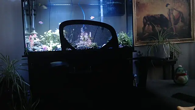 EspanolVato online show from 2, 4, 2026