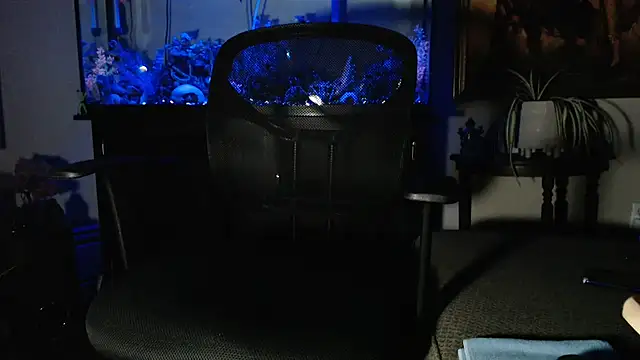 Snapshot of EspanolVato chatting on 7, 2, 2026 EspanolVato online show from 7, 2, 2026