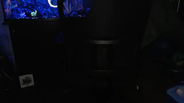 EspanolVato online show from 11, 5, 2026