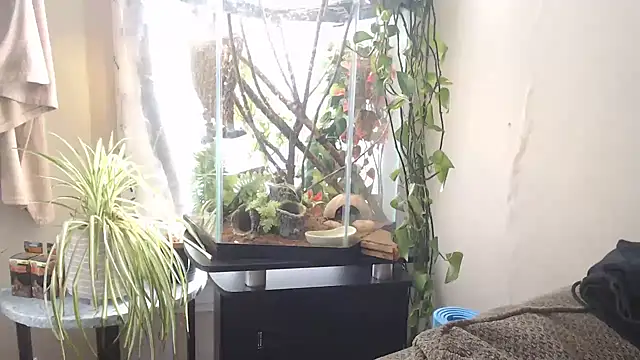 EspanolVato online show from 15, 4, 2026