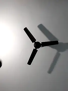 Sonali-6 online show from 14, 2, 2026