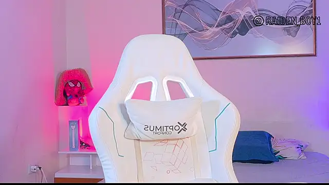 RaidenBoy11 online show from 9, 1, 2026