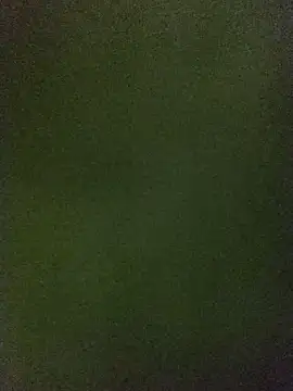 Erbst Morni online show from 14, 1, 2026