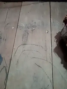 him220 online show from 17, 4, 2026