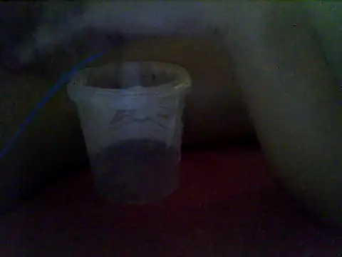 MorenaJapinha online show from 14, 1, 2026