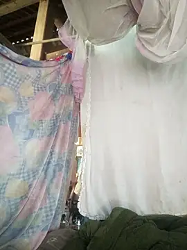 Piu 18 online show from 21, 2, 2026