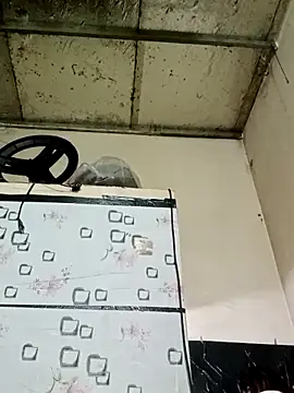 Sana-vn online show from 1, 3, 2026