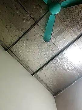 Sana-vn online show from 2, 2, 2026