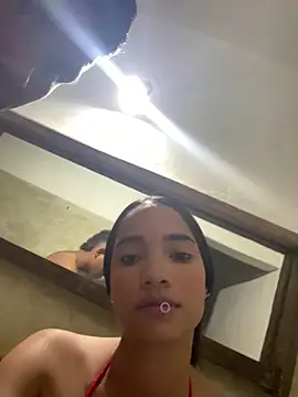 alice  cat online show from 12, 4, 2026