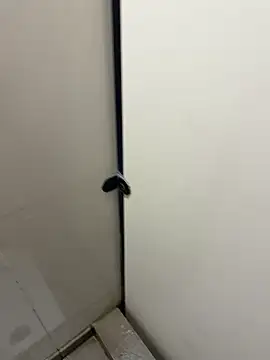 Johnlim880 online show from 10, 1, 2026