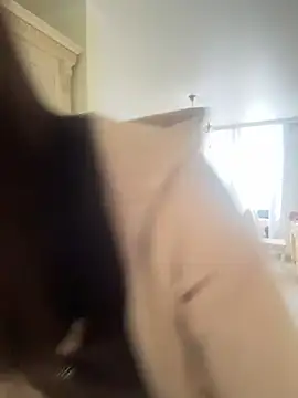 Judy  Hopps online show from 19, 1, 2026