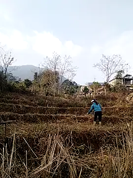 alycen online show from 13, 1, 2026